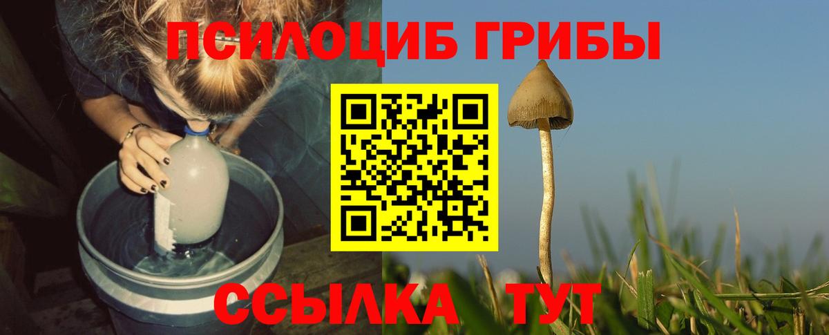Псилоцибиновые грибы мухоморы  Вход с VPN  Орск 